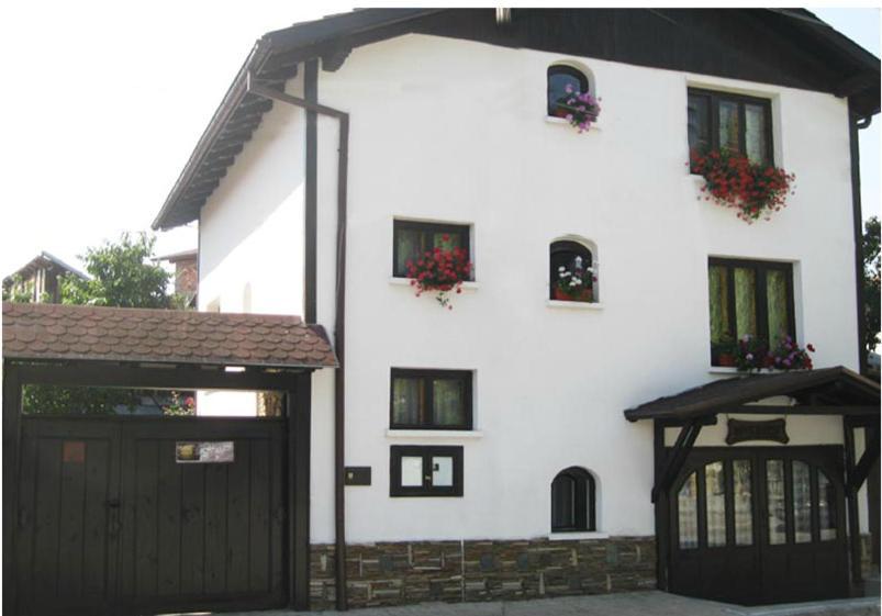 Guest House Voyno Dobrinishte Dış mekan fotoğraf