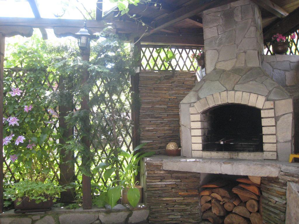 Guest House Voyno Dobrinishte Dış mekan fotoğraf