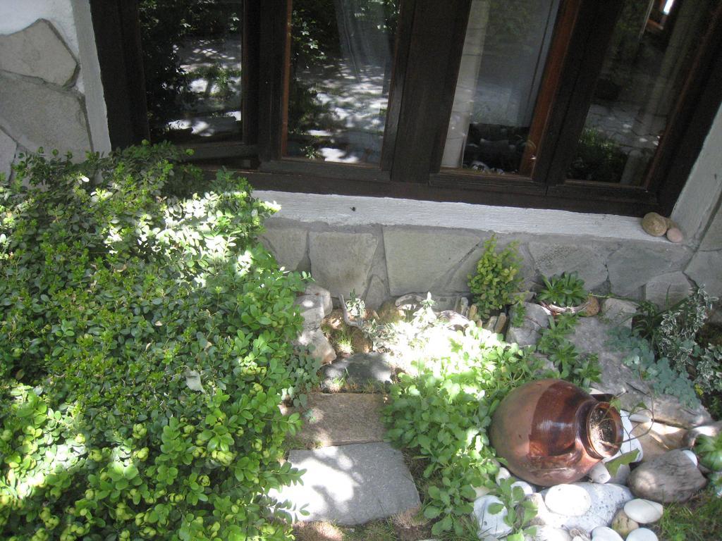Guest House Voyno Dobrinishte Dış mekan fotoğraf