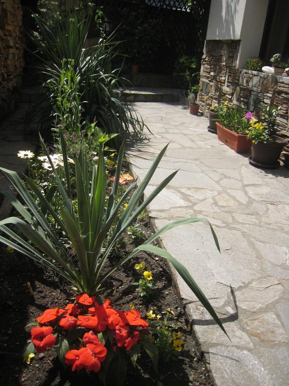 Guest House Voyno Dobrinishte Dış mekan fotoğraf