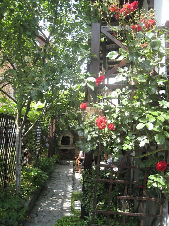 Guest House Voyno Dobrinishte Dış mekan fotoğraf